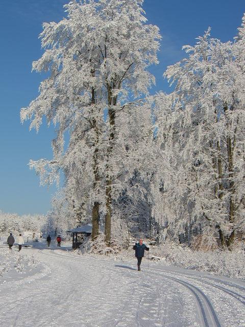 Haus Cristallo Олсберг Екстериор снимка